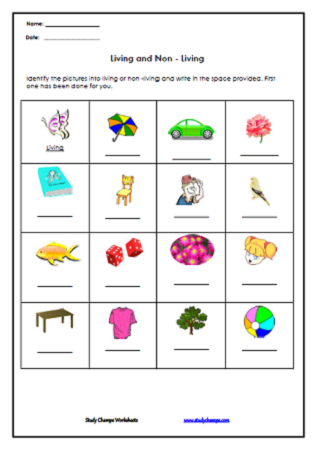 Living and Non Living Worksheets